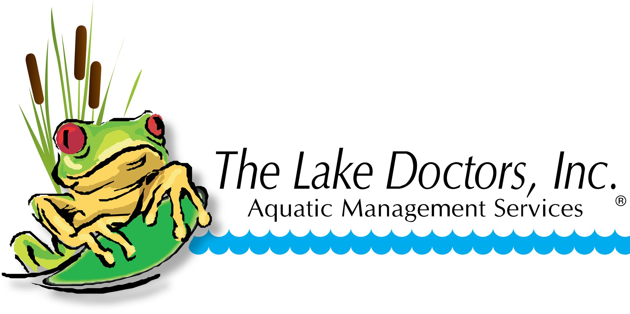Lake Doctors logo 1